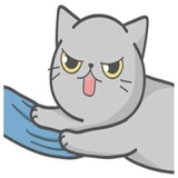 Cat Fullmoon WhatsApp Sticker #30