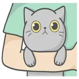 Sticker 31