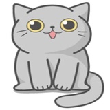 Cat Fullmoon WhatsApp Sticker #4