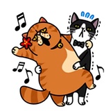 Fun Cat WhatsApp Sticker #10
