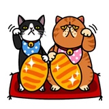 Fun Cat WhatsApp Sticker #14