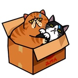Fun Cat WhatsApp Sticker #16