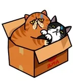 Sticker 16