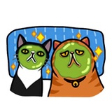 Fun Cat WhatsApp Sticker #19