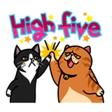 Fun Cat WhatsApp Sticker #20