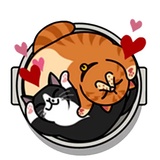 Fun Cat WhatsApp Sticker #21
