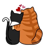 Fun Cat WhatsApp Sticker #22