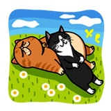 Fun Cat WhatsApp Sticker #23
