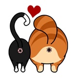 Fun Cat WhatsApp Sticker #24