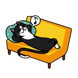 Fun Cat WhatsApp Sticker #28