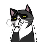 Fun Cat WhatsApp Sticker #29