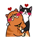 Fun Cat WhatsApp Sticker #3