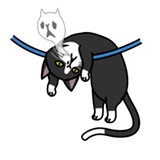 Fun Cat WhatsApp Sticker #30