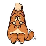 Sticker 57