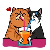 Fun Cat WhatsApp Sticker #6