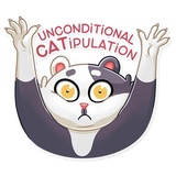 Catler WhatsApp Sticker #21