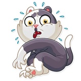 Catler WhatsApp Sticker #4