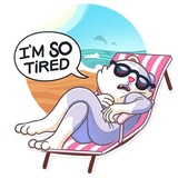 Catler WhatsApp Sticker #8