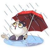 Catler WhatsApp Sticker #9