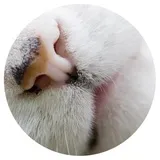 Sticker 12