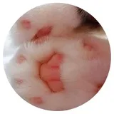 Sticker 13