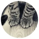 Sticker 7