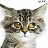 Sticker 32
