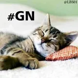Sticker 54