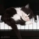 Sticker 65