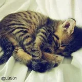 Sticker 108