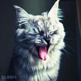 Sticker 111
