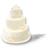 Birthday Cake and Balloons WhatsApp Sticker #21