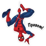 Spider WhatsApp Sticker #13