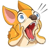 Chihuahua Chica WhatsApp Sticker #10