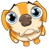 Chihuahua Chica WhatsApp Sticker #13