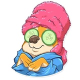 Chihuahua Chica WhatsApp Sticker #17