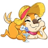 Chihuahua Chica WhatsApp Sticker #24