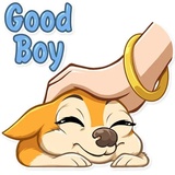 Chihuahua Chica WhatsApp Sticker #6