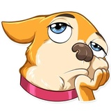 Chihuahua Chica WhatsApp Sticker #7