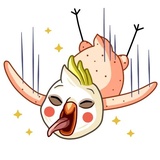 Cockatoo WhatsApp Sticker pack