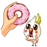 Cockatoo WhatsApp Sticker #19
