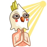 Cockatoo WhatsApp Sticker #27