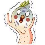 Cockatoo WhatsApp Sticker #3