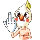 Cockatoo WhatsApp Sticker #9