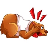 Comrade Bearski WhatsApp Sticker #20