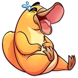 Cooper the Platypus WhatsApp Sticker pack