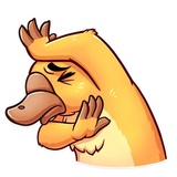Cooper the Platypus WhatsApp Sticker #25