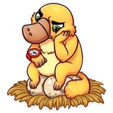 Cooper the Platypus WhatsApp Sticker #28