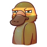 Cooper the Platypus WhatsApp Sticker #6