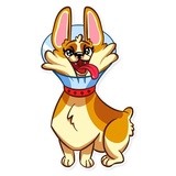 Corgeous WhatsApp Sticker #10